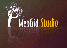 Разработка сайтов и создание интернет-магазина в Киеве - Webgid.Studio